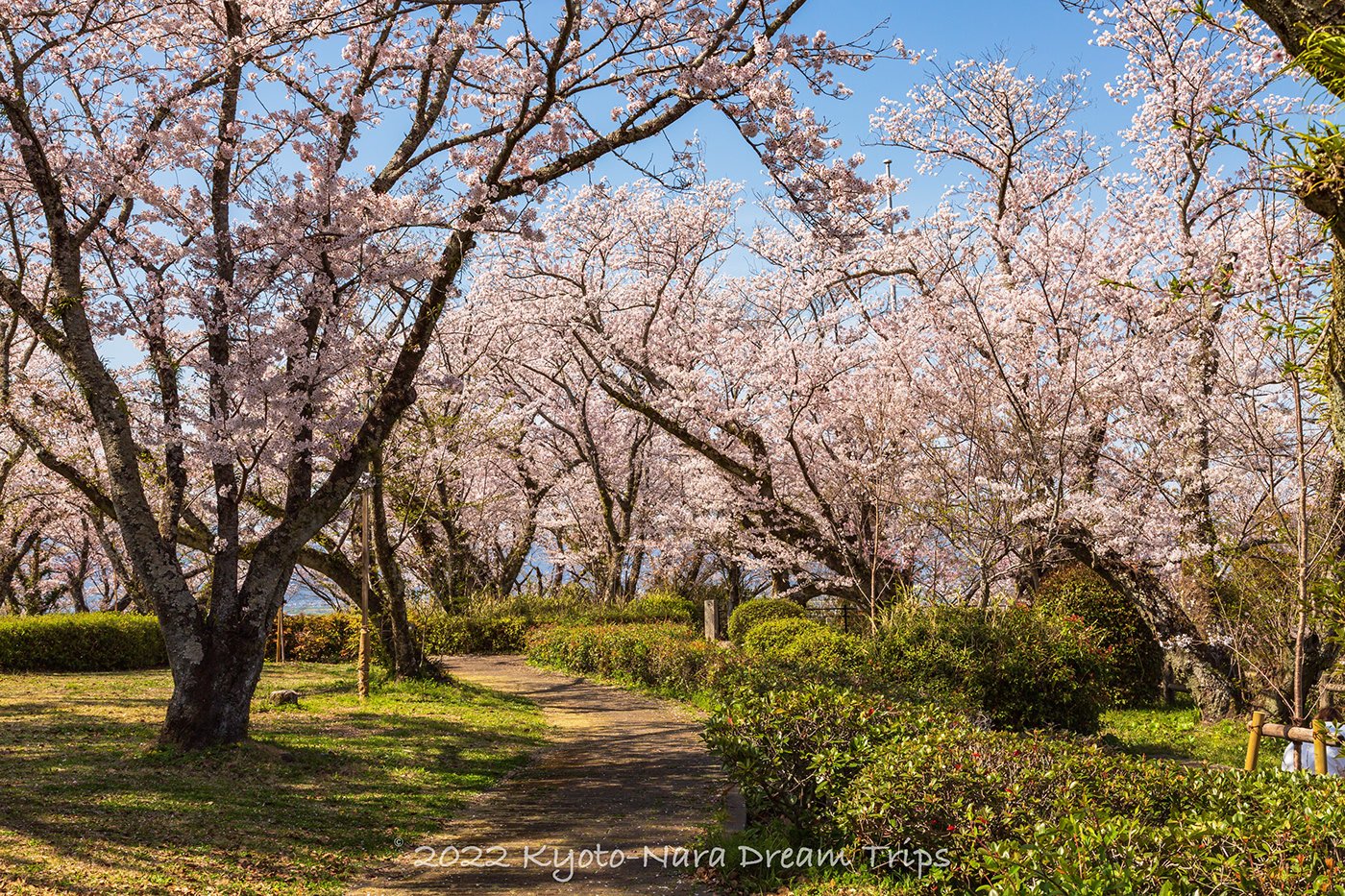🌳 비잔 공원 이미지 9